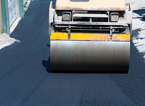 Best Driveway Snow Removal Preparation  in Gibsonton, FL